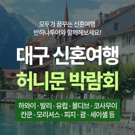 대구 반하나 허니문박람회 포스터